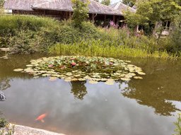 image 28
